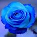 Bernadette Baumard - Facebook