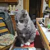Bernadette Bleard - @bernadette.bleard - TikTok