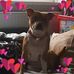 Bernadette Boyd - Facebook
