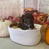 Bernadette Coffey - @bernadette.coffey3 - TikTok