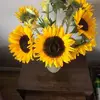 bernie - @bernadettecoffey6 - TikTok