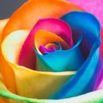 Bernadette D. Cullen - @bernadetted.cullen - Instagram