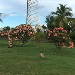Bernadette David - @bernadette.david.96995 - Instagram