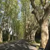 Bernadette David - @bernadette.david49 - TikTok
