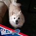 Bernadette Davis - Facebook