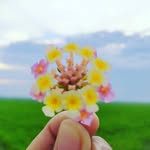 Bernadette De Vera - @vbernadettede - Instagram