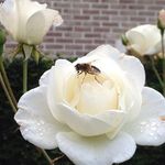 Bernadette Dunn - @bernadette.dunn.56 - Instagram
