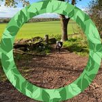 Bernie Fallon - @bernadette_fallon56 - Instagram