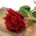 Bernadette Farley - Facebook