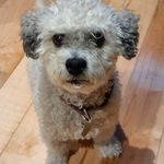 Mary-Bernadette Farley - @marybernadettefarley - Instagram