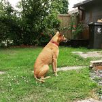 bernadette fuller - @bernadettefuller64 - Instagram