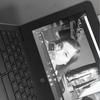 Bernadette - @fck.bernadette - TikTok