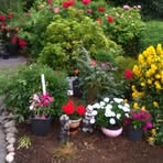 Bernadette Giblin - Facebook