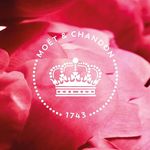 Bernadette Gray - @bernadettegray270 - Instagram