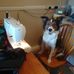 Bernadette Gray - Facebook