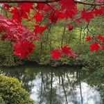 Bernadette Helm - @bernadettehelm - Instagram