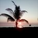 Bernadette Howard - Facebook
