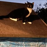 Bernadette Howe Leonard - @ellylouise2023 - Instagram