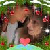 Bernadette Hutton - Facebook