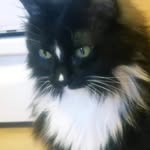 Bernadette Inez - @really_just_kidding_too - Instagram