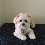 Bernadette Jackson - @bernadettejackson33 - Instagram