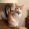Bernadette Keyser - @bernadette.keyser - TikTok
