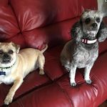 Bernadette Kidd - @bernadettekidd - Instagram