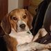Bernadette Knott - Facebook