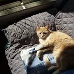 Bernadette Lambert - @bernadette.lambert.73997 - Instagram