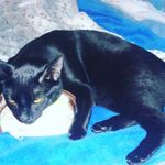 Bernadette Lang - @langconboy62 - Instagram