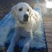 Bernadette Lang - Facebook