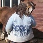 Bernadette Langfield - @bernadettelangfield - Instagram