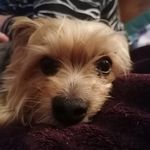 Bernadette Lawson - @bernadette_lawson - Instagram