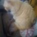 Bernadette Levy - Facebook