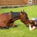 Bernadette McDowell - Facebook