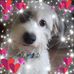 Berni McDowell - Facebook