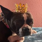 Bernadette Miller - @bernadettemiller1969 - Instagram