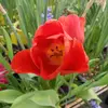 bernadette Miller - @bernadette.miller0 - TikTok