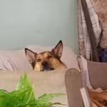 Bernadette Miller - @bernadette.miller.7165 - Instagram