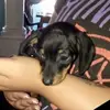 Bernadette Neethling CLoete - @bernadette.neethl - TikTok