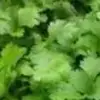 bernadette - @bernadette.obrien - TikTok