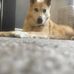Bernadette Orrell - Facebook