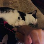 Bernadette Bisinotto - @bernadettebisinotto2 - Instagram