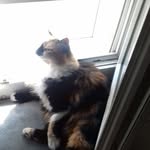 Bernadette Parent - @parentber - Instagram