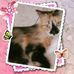 Bernadette Parent - Facebook
