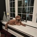 Bernadette Patrick - @patrick.bernadette - Instagram