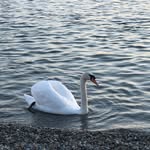 Bernadette Patrick Varvarian - @nadopat74 - Instagram