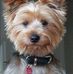 Bernadette Pearson - Facebook