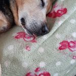 Bernadette Reed - @bern57 - Instagram
