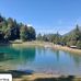Bernadette Roche - Facebook